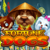 FORTUNE DOGS