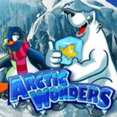 ARCTIC WONDERS