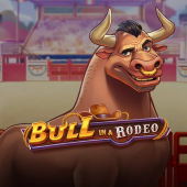 Bull in a Rodeo