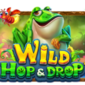 Wild Hop&Drop
