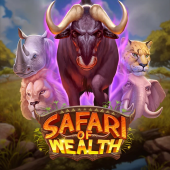 Safari of Wealth